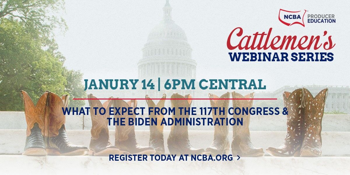 Banner NCBA Webinar